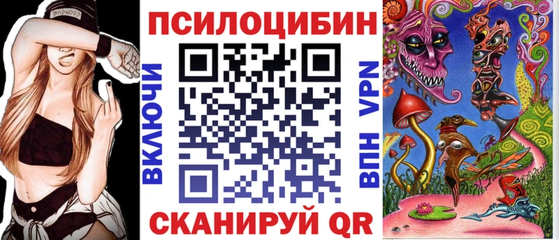 Галлюциногенные грибы Cubensis где найти наркотики Богданович